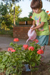 Girl watering flowers