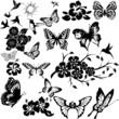 Butterfly collage 2 (vector)