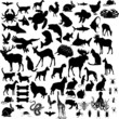 Animal collage (vector) Animal collage (vector)