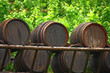 vat wine and leavs