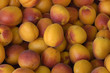 abricots