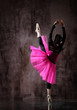 the dancer
