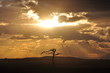 COUCHER DE SOLEIL SAVANE