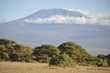 KILIMANJARO
