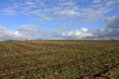 Landschaft