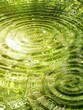 Ripples on water:reflection of forest and sun Ripples on water:reflection of forest and sun