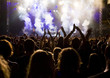 Crowd at concert