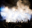Crowd at concert