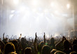 Crowd at concert