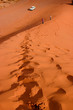 on the sand dune of Wadi Rum on the sand dune of Wadi Rum