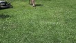 Man Mowing Green Lawn