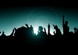 Concert crowd
