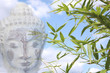 buddha with bamboo