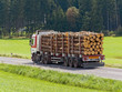 Transport von HolzstÃ¤mmen auf einem Lastwagen