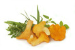 Chanterelles