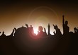concert crowd