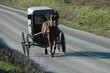Photo: Amish buggy in Pennsylvania Amish buggy in Pennsylvania