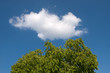 Blau, Grün und Weiss Blau, Grün und Weiss