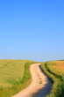 Photo: Weg zum Horizont Weg zum Horizont