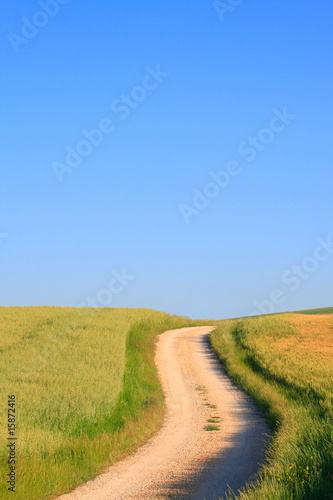 Foto: Weg zum Horizont Weg zum Horizont