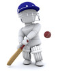 man playing cricket