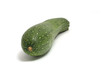 Zucchini Zucchini