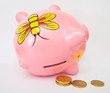 Piggy Moneybox