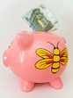 Piggy Moneybox