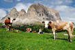 Montagna, Dolomiti, Alpi, Italia