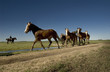 campo 10