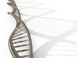 DNA structure model on white surface
