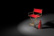 The Director