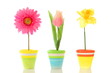 funny flowers