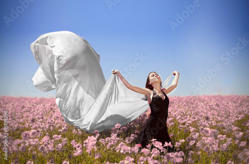 Photo: dreams dreams