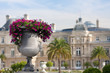 Flowerpot in Jardin du Luxembourg