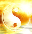 yin yang