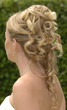Chignon