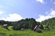 Photo: Impressionen aus dem Schwarzwald Impressionen aus dem Schwarzwald
