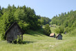 Photo: Impressionen aus dem Schwarzwald Impressionen aus dem Schwarzwald