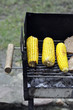 Foto: grillen grillen