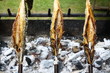 Steckerlfische
