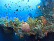 Underwater wreck of the Liberty