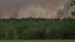 Video: Wildfire Wildfire