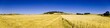 Prairie en Haute-Loire