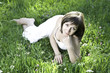 Young smiling girl in grass