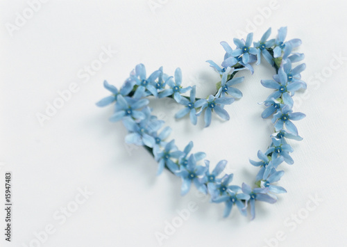 Photo: blue of love 蓝色的爱 blue of love 蓝色的爱