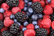 Forest Fruit Background