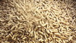 Video: holzpellets fallen auf einen haufen holzpellets fallen auf einen haufen
