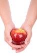 Roter Apfel Roter Apfel