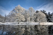 lake scene in winter
